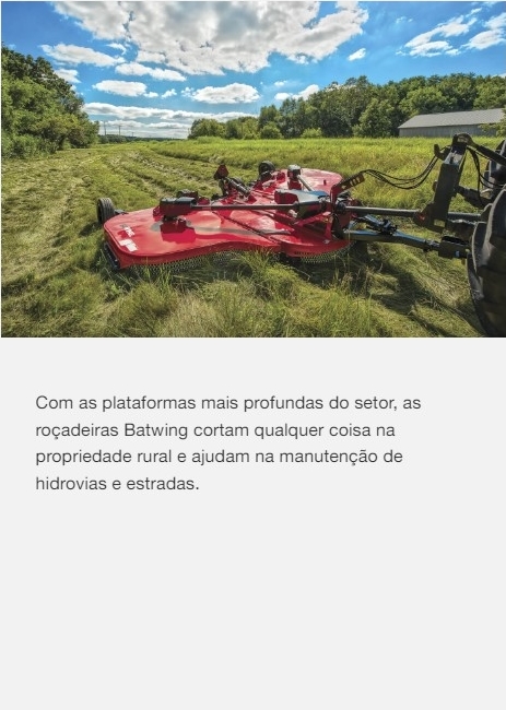 batwing_1